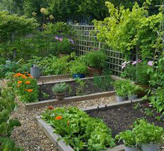L'utopie est dans le potager