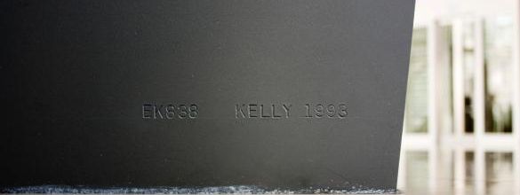 ELLSWORTH KELLY PICTURES