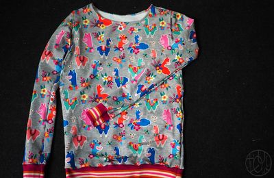 Le sweat qui avait failli ne pas servir