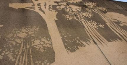 The Reverse Graffiti Project