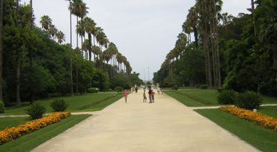 Jardin d'essai d'Alger: un lieu de poésie et de repos