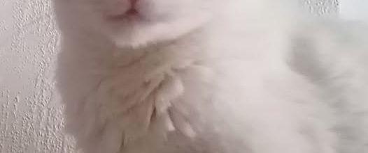 Et si c’était un acte d’amour ?