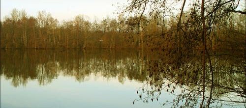 lac de laives