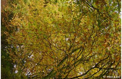 Chateaugiron - Promenade automnale (1/3)