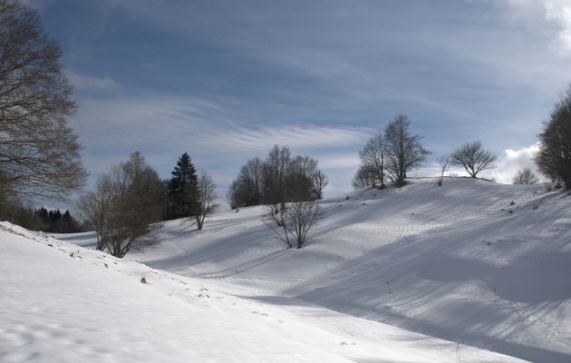 02/03/2017 Aux Solives - 3