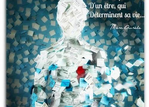 La plus belle leçon
