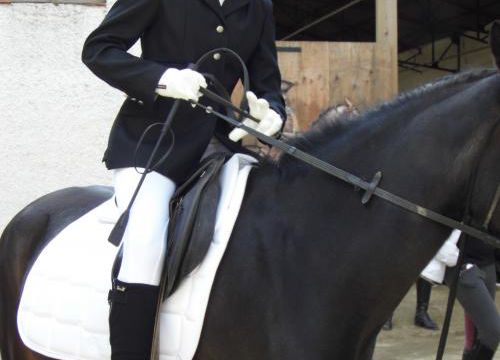 Julie équitation