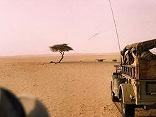 L'Arbre du Ténéré