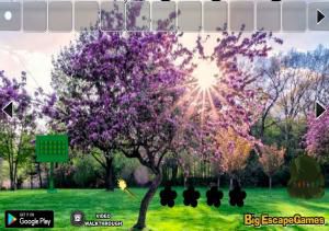 Big Cherry blossom forest escape soluce