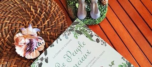 "Le Peuple Silencieux" par La Dame de Cendre chez Danaé éditions : un très bon guide du Petit Peuple et de la magie celtique