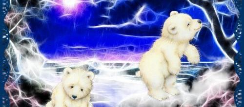  Jolis nounours...