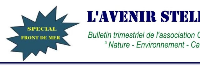 Catalogue des Bulletins de liaison "Avenir Stellien" à télécharger