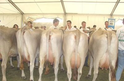 Le concours de la Brune...