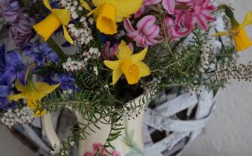 Jacinthes et jonquilles