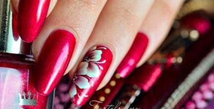 Cette semaine, j'ai aimé... #80