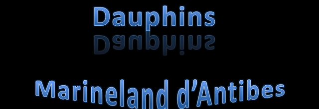 Dauphins