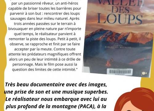 Film documentaire "La vallée des loups"