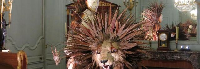 Rambouillet : les « Natures sauvages » s’exposent au château.