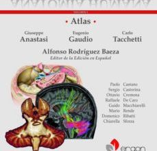 Libros descargables gratis en formato pdf. ATLAS ANATOMIA HUMANA T. III iBook FB2 in Spanish de ALFONSO RODRÍGUEZ BAEZA. GIUSEPPE ANASTASI. EUGENIO GAUDIO. CARLO TACCHETTI