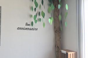 Un arbre au coin lecture