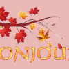 Images et Transferts " Automne "