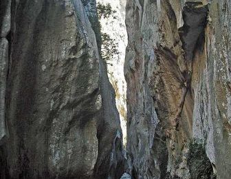 rando dans le canyon - sa calobra