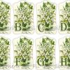 Abécédaire Muguet ! 2017