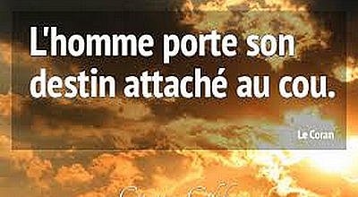 Proverbe 137