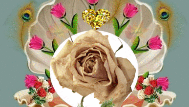 CADRES FLEURS PAPILLONS