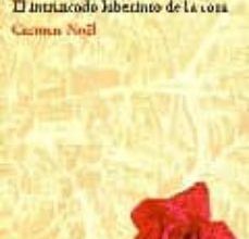 [Kindle] EL INTRINCADO LABERINTO DE LA ROSA descargar gratis