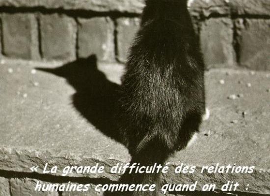 Citations en images : Les relations
