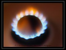 Fleur de flammes