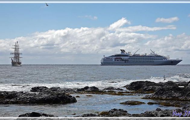 Petit tour sur la plage : le Lyrial, le Bark Europa, sterne arctique - Edinburgh of the Seven Seas - Tristan da Cunha