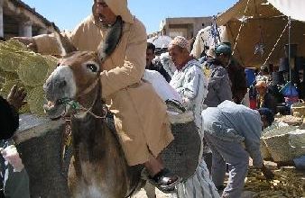Homme sur son âne