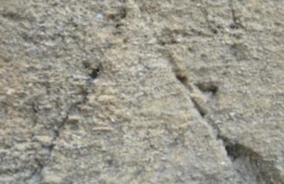 Les signes (ou dessins) sur la chapelle templière de Metz, sur l'église Saint-Pierre aux Nonnains de Metz et sur  les marches de la chapelle de Rinting. (Albert Fagioli)
