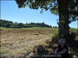 (J3) L'Isle de Noé / Monlezun _ 3 septembre 2013_ 26km (3)