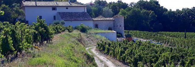 Gigondas