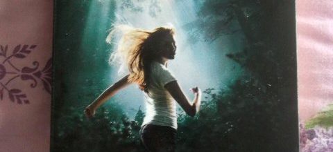 Mes lectures du mois d'août
