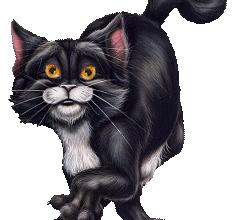 La java des pussy-cats :