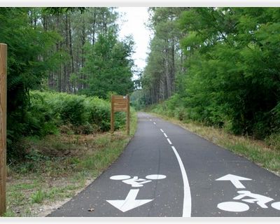 🚴  Évolution des règles des pistes cyclables en 2026.