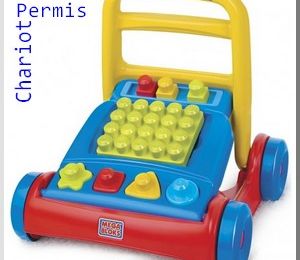 Permis Chariot