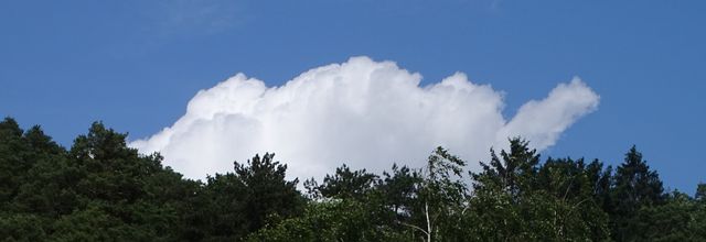 Ciel, ciel!!