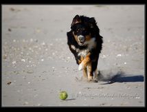 Jeu de plage...