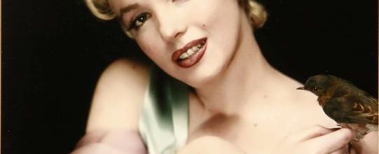 photo marilyn monroe
