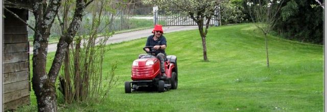 LA PREMIERE COUPE DE PRINTEMPS 