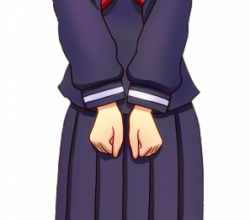 Recolor Uniforme Bleu