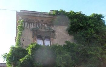 Verdissons nos villes ... 