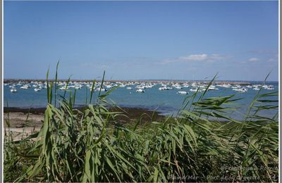 La Plaine sur Mer - Port de la Gravette 