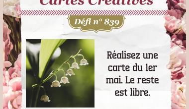 Passion Cartes Créatives#839 !