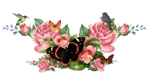 Mes roses non taillées !